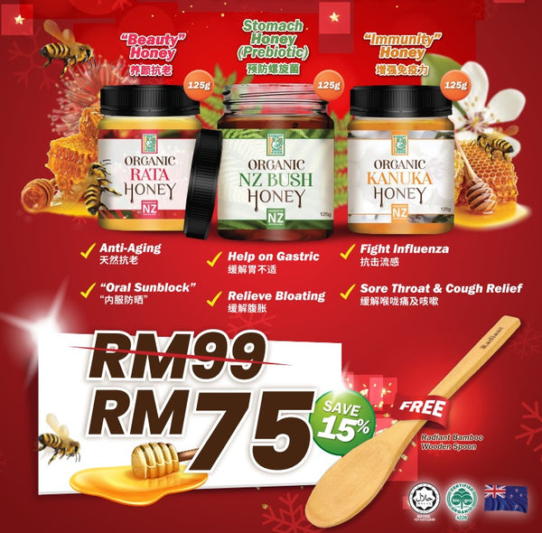 Set of 3 mini honey + wooden spoon